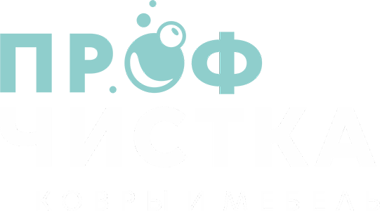 Профчистка лого 2.png